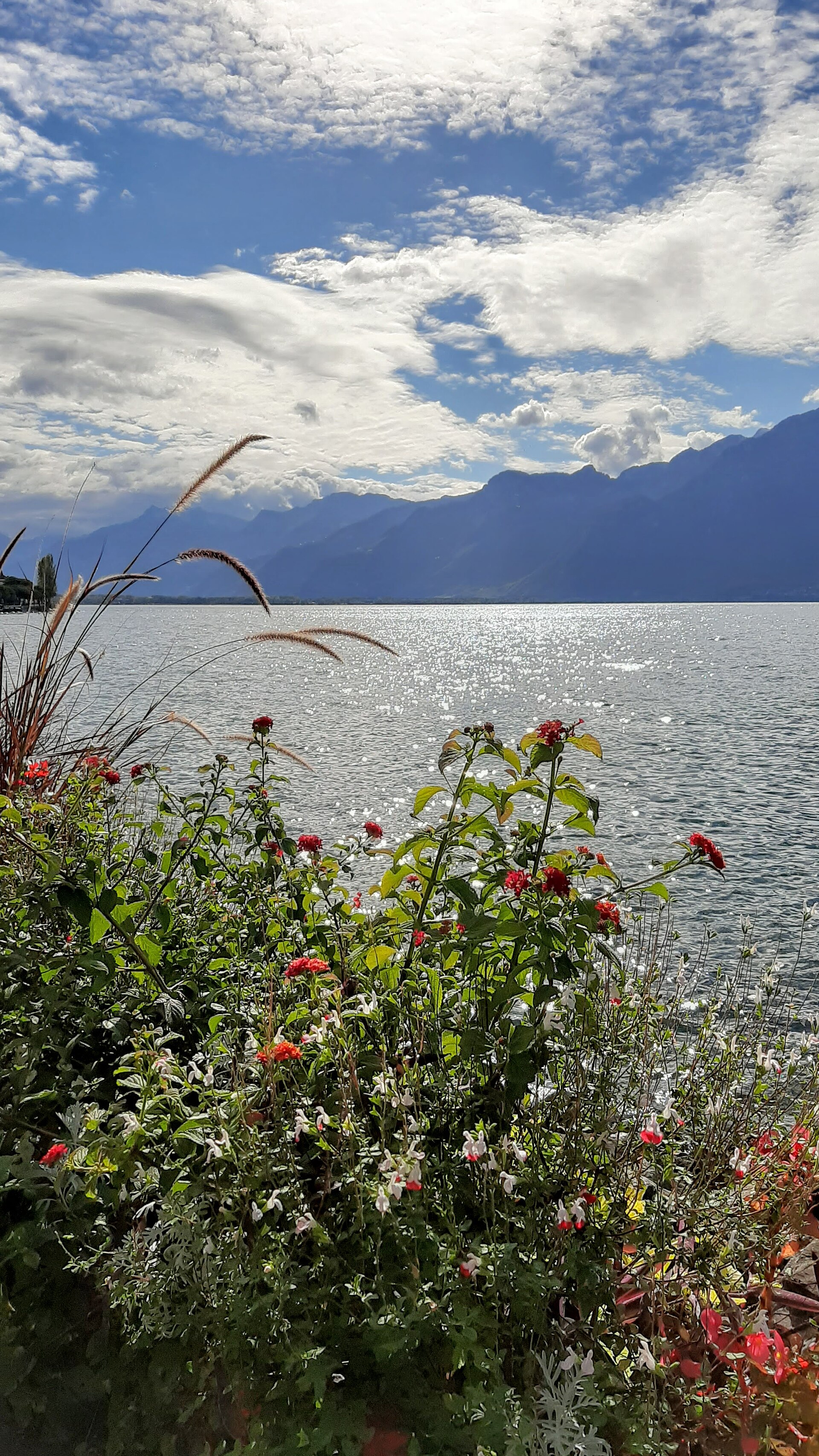 Lake Geneva and the Alps from Montreux